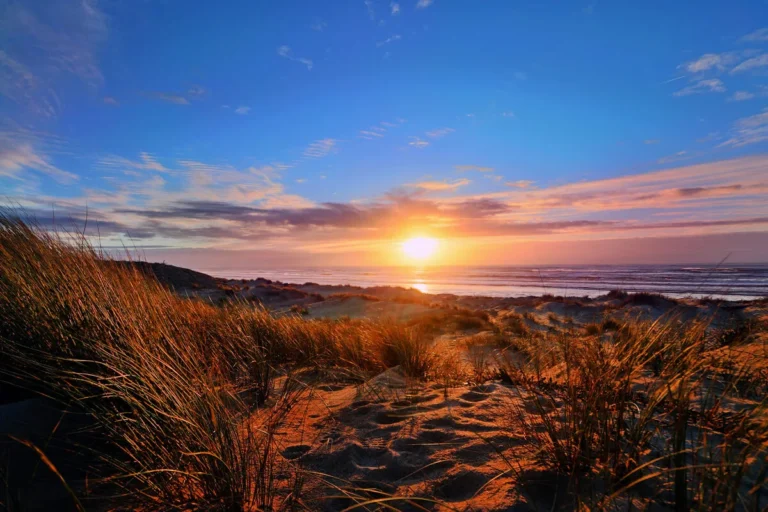 LES LANDES