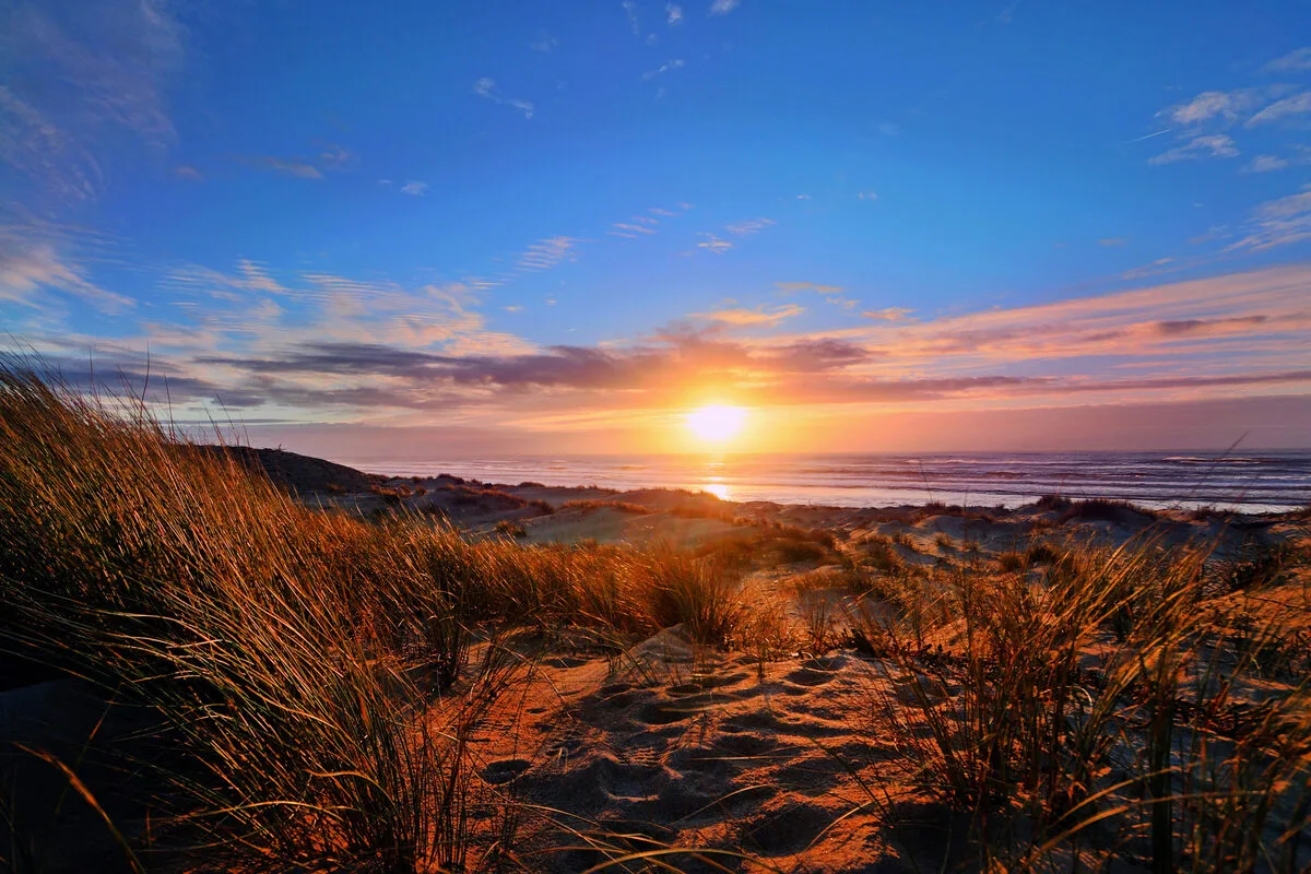 LES LANDES