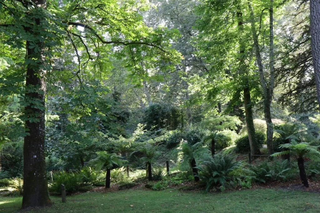 Mont de Marsan - Jean Rameau park