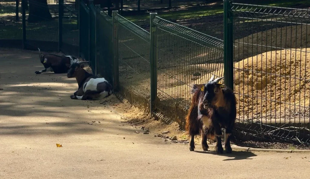 parc animalier