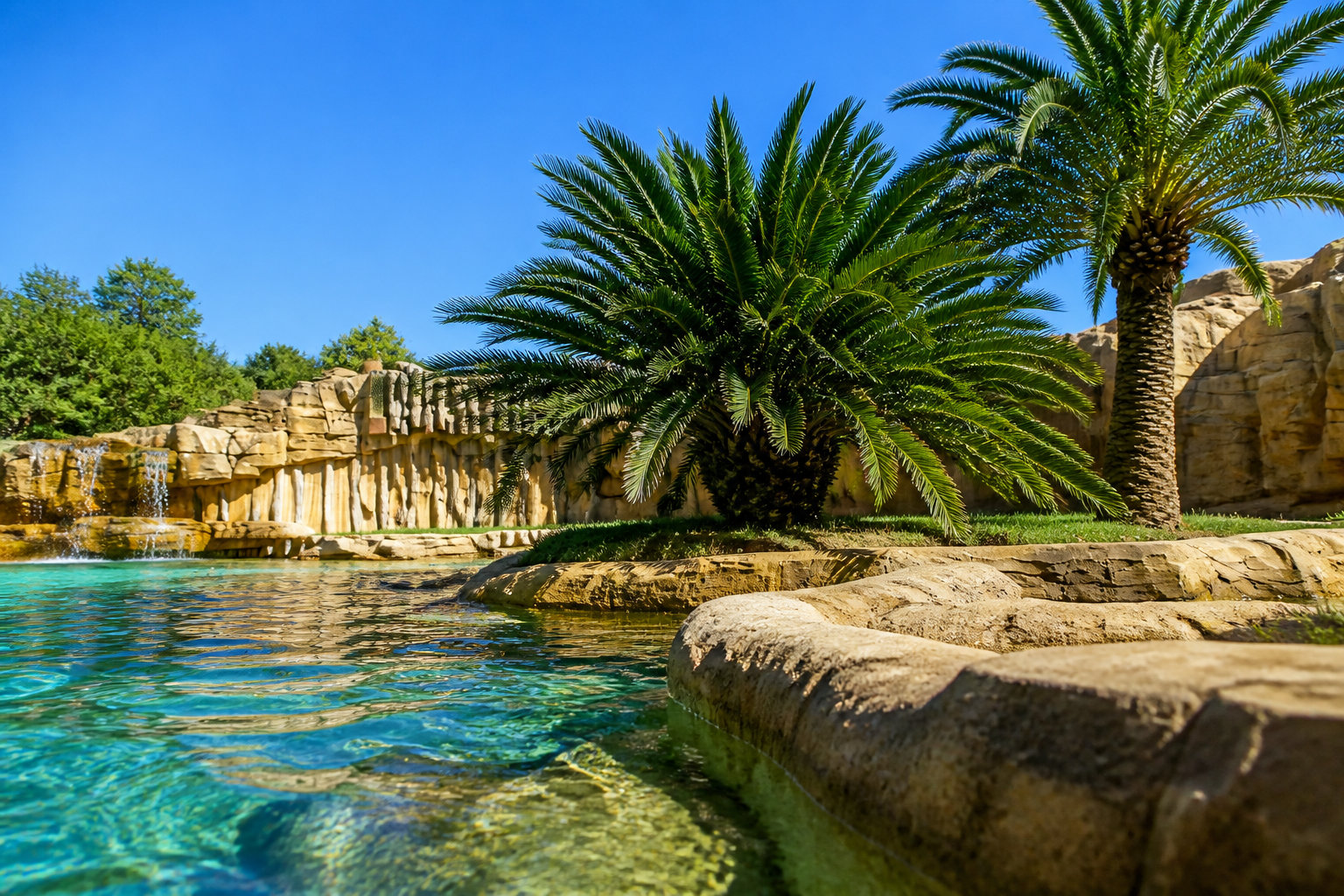 Zoo de la Palmyre au cœur de la forêt de Charente-Maritime