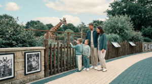 Une famille observe une girafe au zoo de La Palmyre.