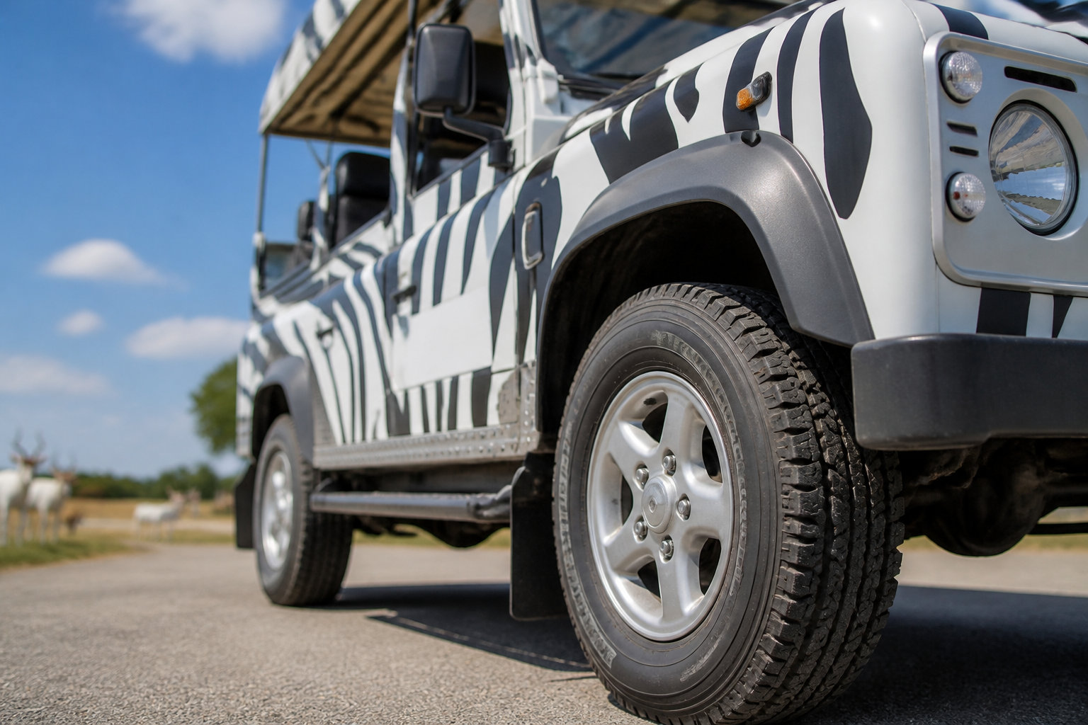 Safari de Peaugres : une immersion sauvage entre voiture et marche